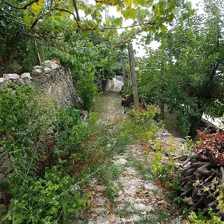 Melina's House * Lukovë